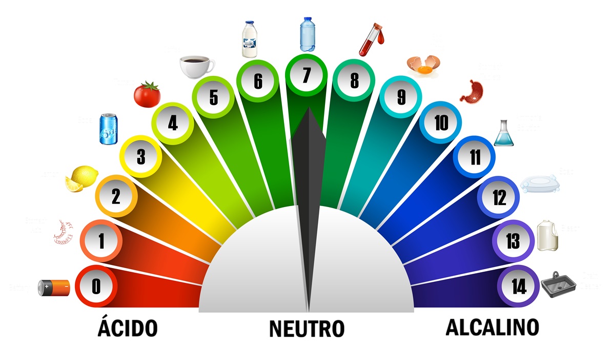 Escala de ph acido alcalino y neutro