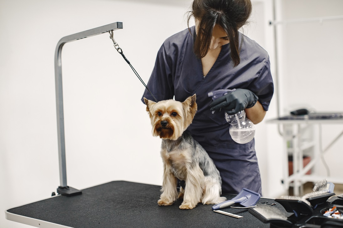 Peluquerias caninas deben usar productos de aseo Kipclin por calidad y servicio