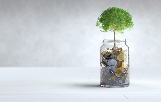 ahorra con kiclin utiliza productos ahorra dinero ecologia