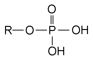 estructura fosfato