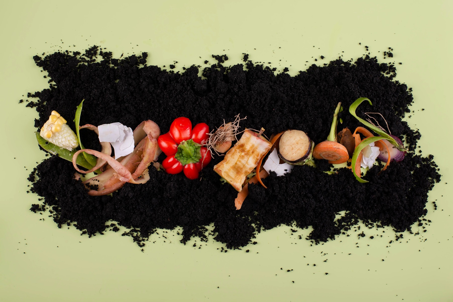 composition compost made rotten food JPG