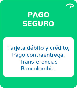 Pago seguro