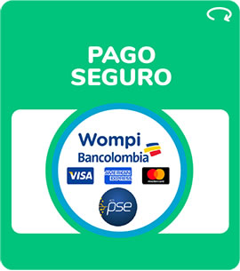 Pago seguro