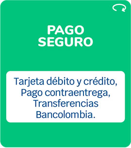 Pago seguro