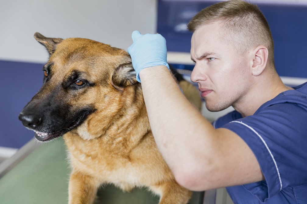 veterinario usa lo mejor para limpieza en su consultorio con Kipclin